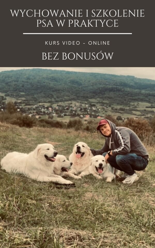 e book + kurs online bez bonusów - obrazek 2