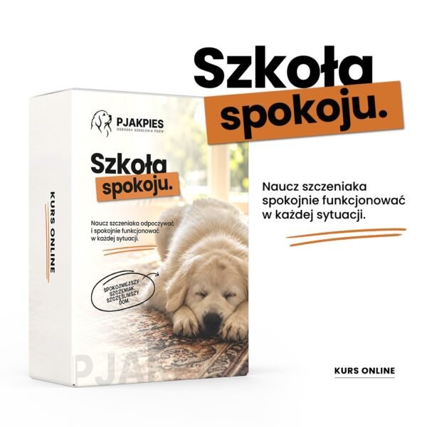 Szkoła Spokoju - kurs online PJAKPIES